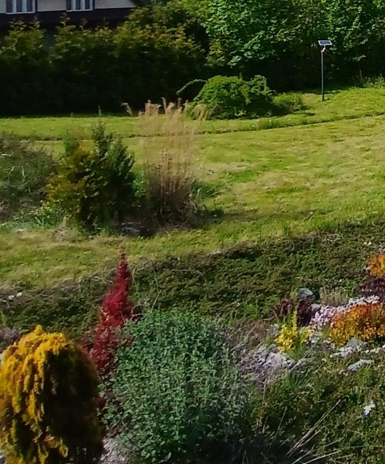 Działka budowlana Wisła Głębce, Głębce. Zdjęcie 2