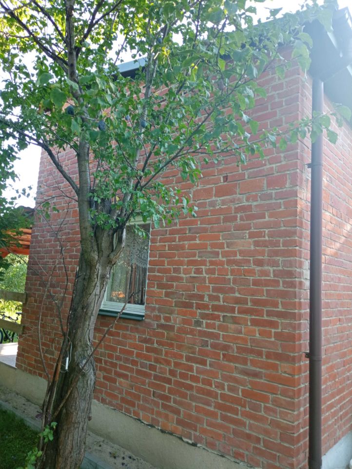 Działka rod Lublin, ul. Janowska. Zdjęcie 2