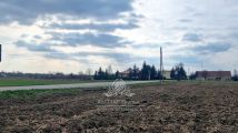 Działka siedliskowa Sokolniki. Zdjęcie 4