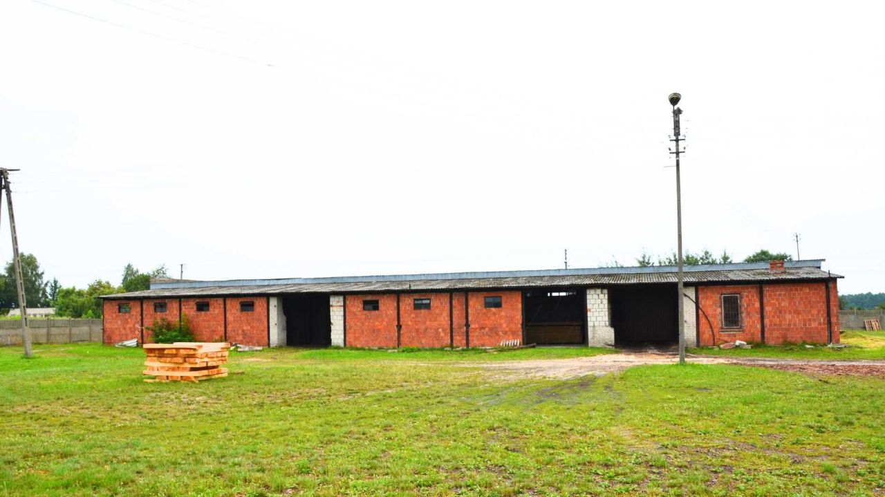 Hala/magazyn Wola Gułowska. Zdjęcie 4