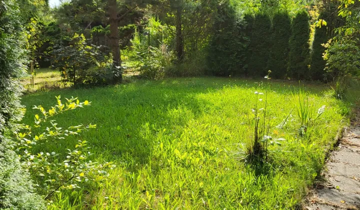 Działka rod Gliwice Sikornik, ul. Czapli