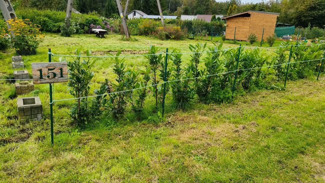 Działka rod Węgorzewo, ul. Braci Ejsmontów. Zdjęcie 8