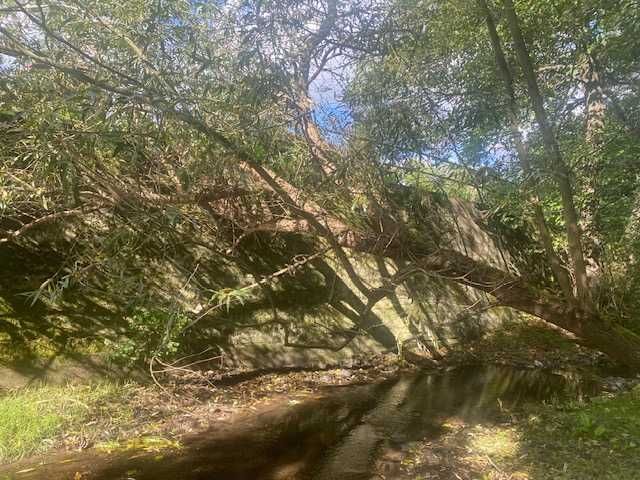 Działka budowlana Mieszewo. Zdjęcie 1