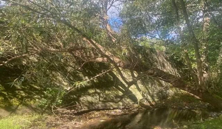 Działka budowlana Mieszewo