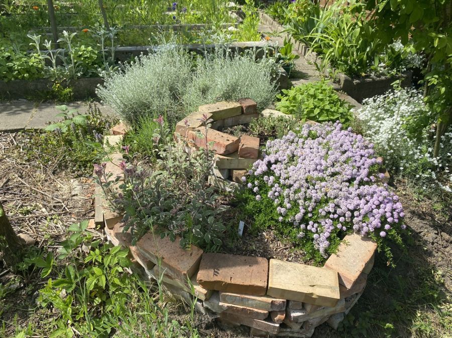 Działka rod Gdańsk Siedlce, ul. Józefa Wieniawskiego. Zdjęcie 8