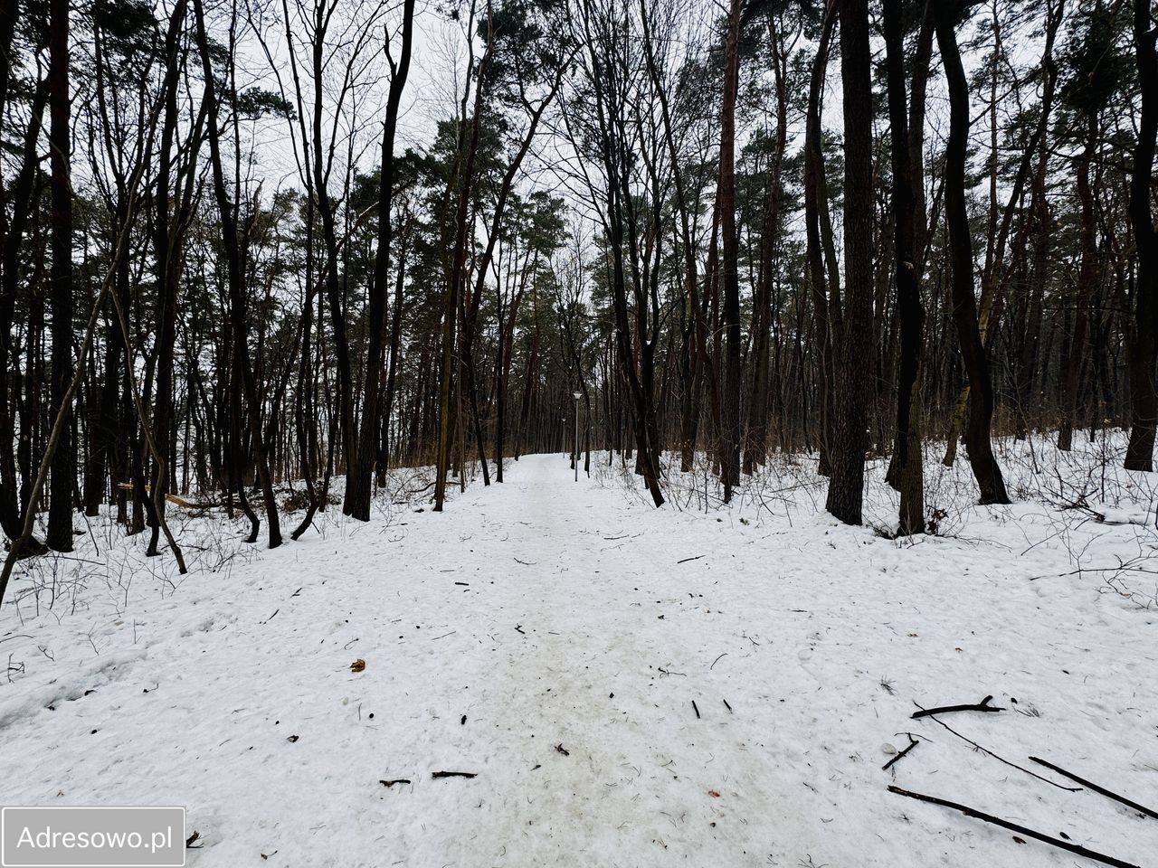Mieszkanie 3-pokojowe Olsztyn, ul. Leśna. Zdjęcie 13