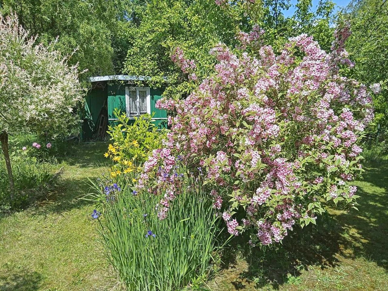 Działka rod Zielona Góra. Zdjęcie 3