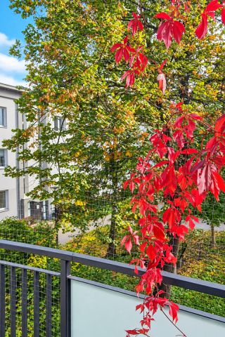 Mieszkanie 2-pokojowe Warszawa Stare Miasto, ul. Sapieżyńska. Zdjęcie 15