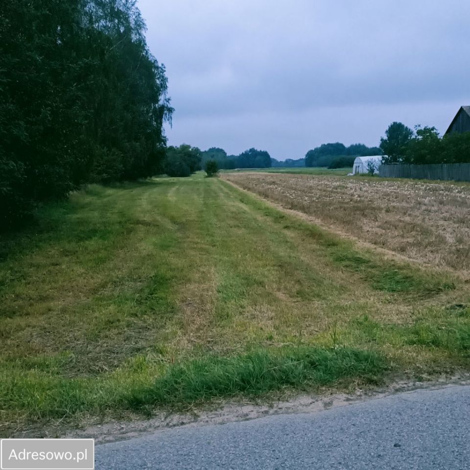 Działka rolna Wilczkowice Dolne. Zdjęcie 3