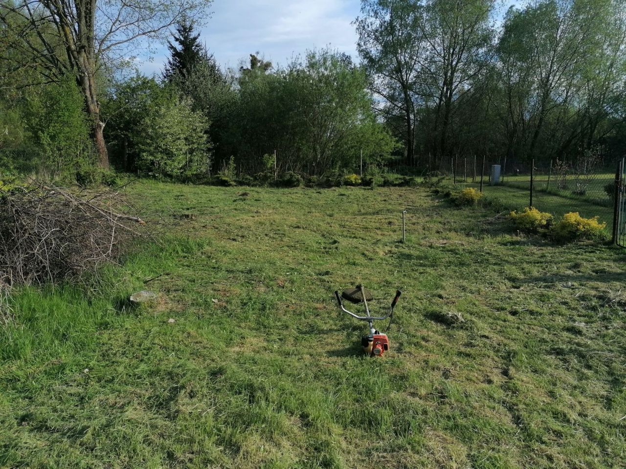 Działka rod Włodawa. Zdjęcie 3