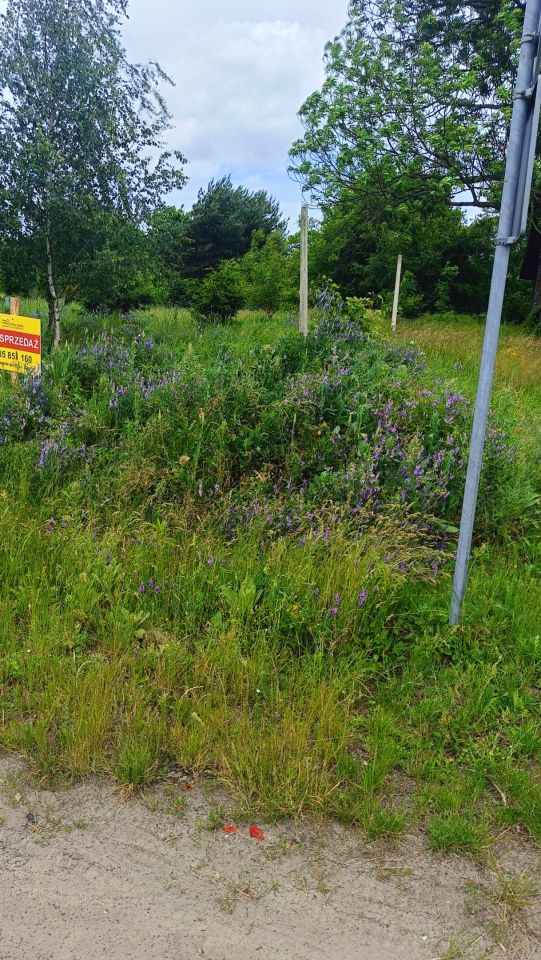 dom wolnostojący, 4 pokoje Horbów. Zdjęcie 3