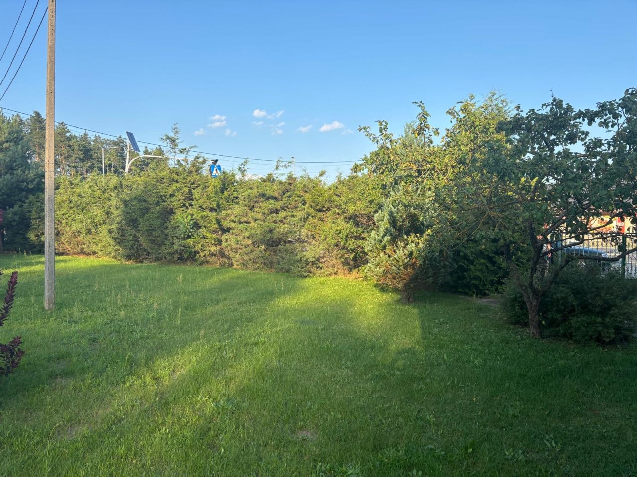 Działka siedliskowa Zieleniec. Zdjęcie 9