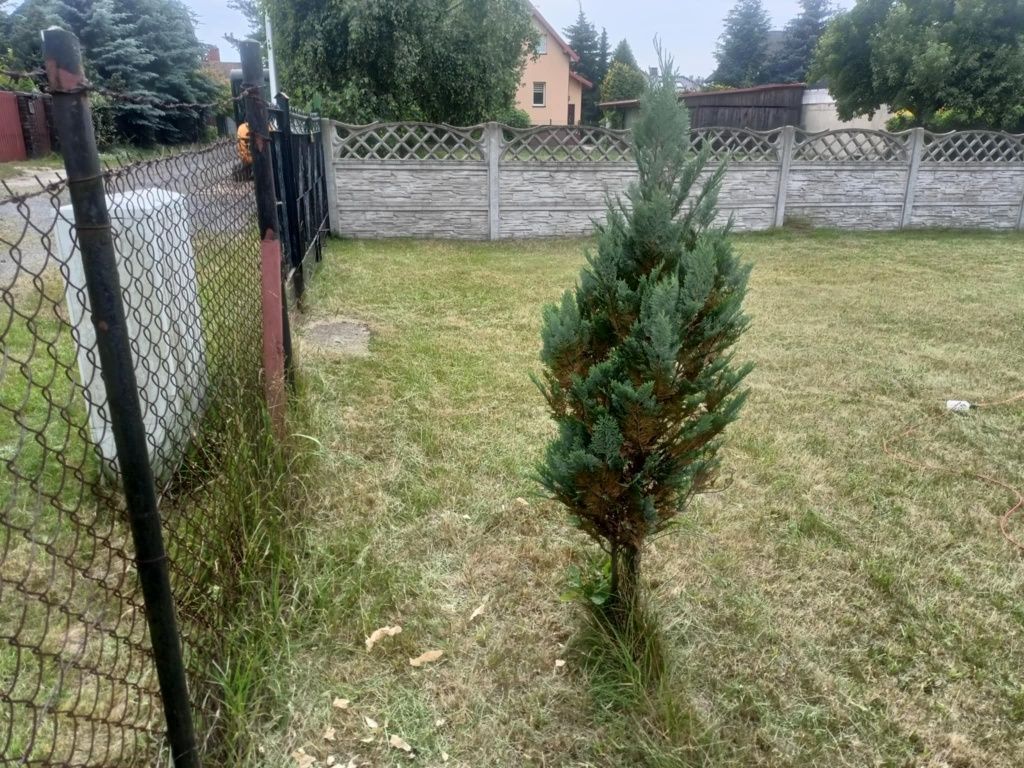 Działka budowlana Częstochowa Wrzosowiak, ul. Jesienna. Zdjęcie 6