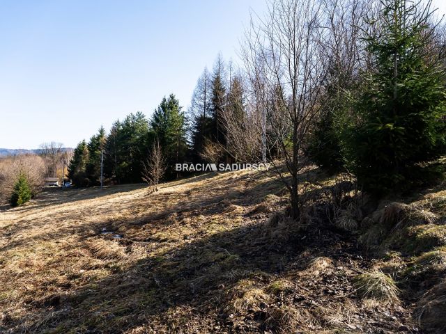 Działka budowlana Stróża. Zdjęcie 17