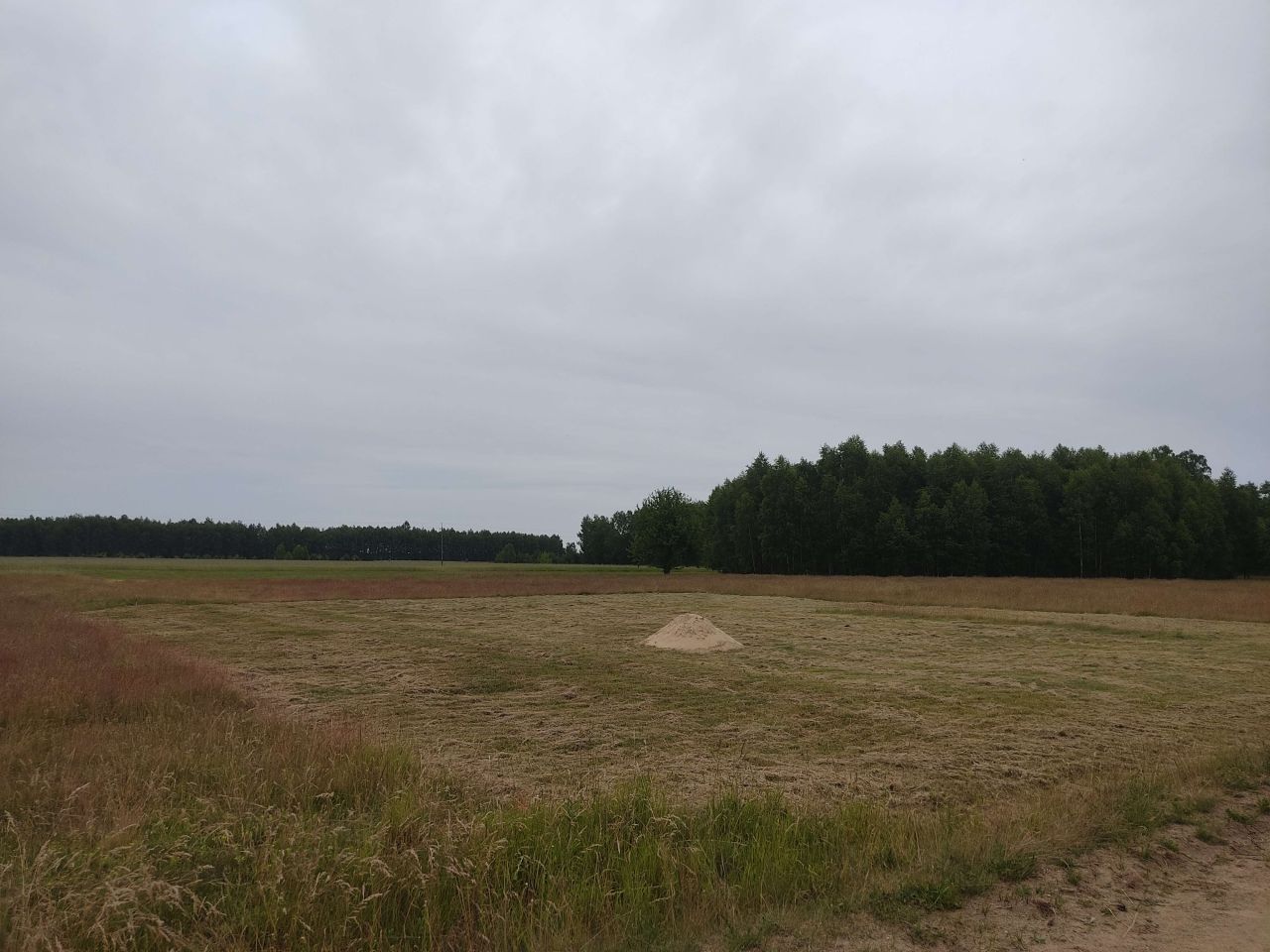 Działka Żeliszew Duży, bez pośrednika 1211 m2