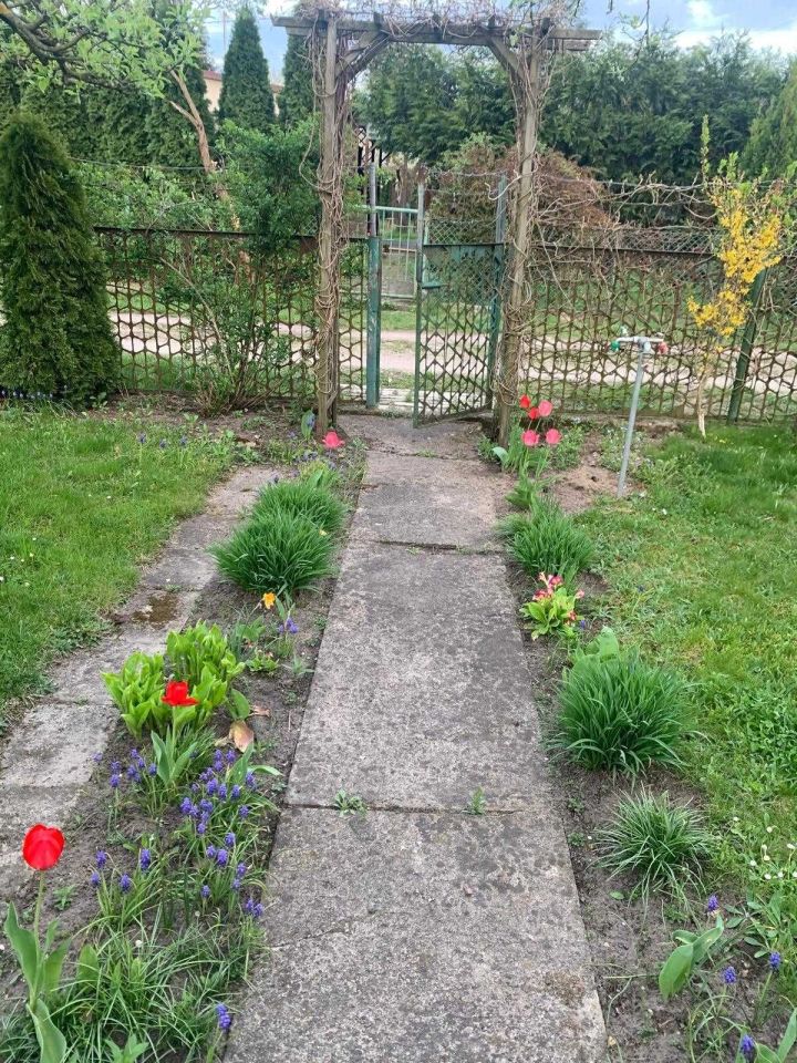 Działka rod Siedlce. Zdjęcie 4