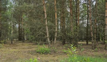 Działka rolno-budowlana Radziwiłłów, ul. Kota Filemona