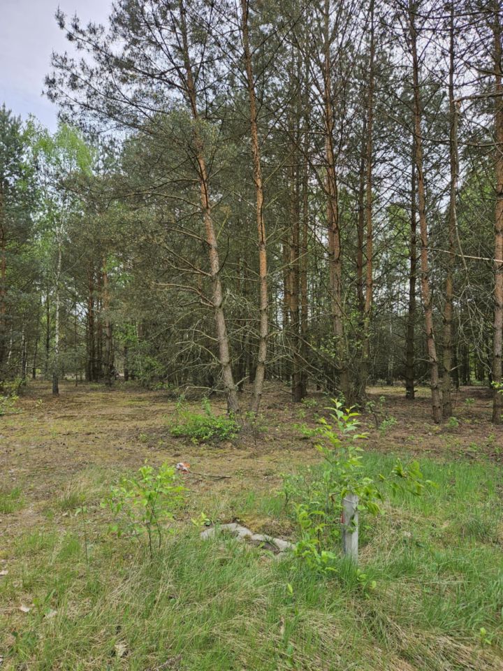 Działka rolno-budowlana Radziwiłłów, ul. Kota Filemona. Zdjęcie 2