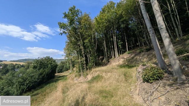 dom wolnostojący, 5 pokoi Dziwiszów, ul. Karkonoska. Zdjęcie 7