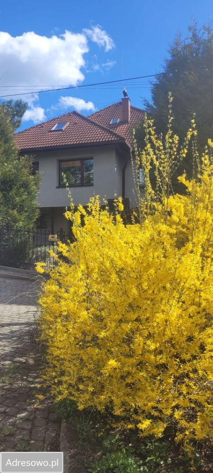 dom wolnostojący, 6 pokoi Cieszyn. Zdjęcie 8