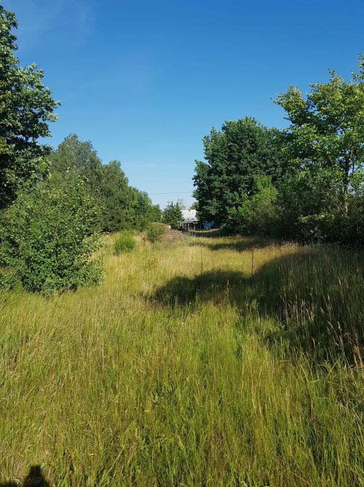 Działka budowlana Żołędowo, ul. Topolowa. Zdjęcie 6