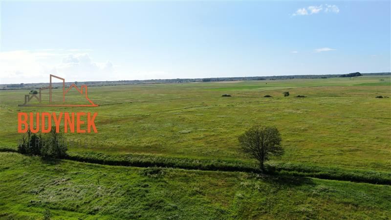 Działka Domasławice. Zdjęcie 3