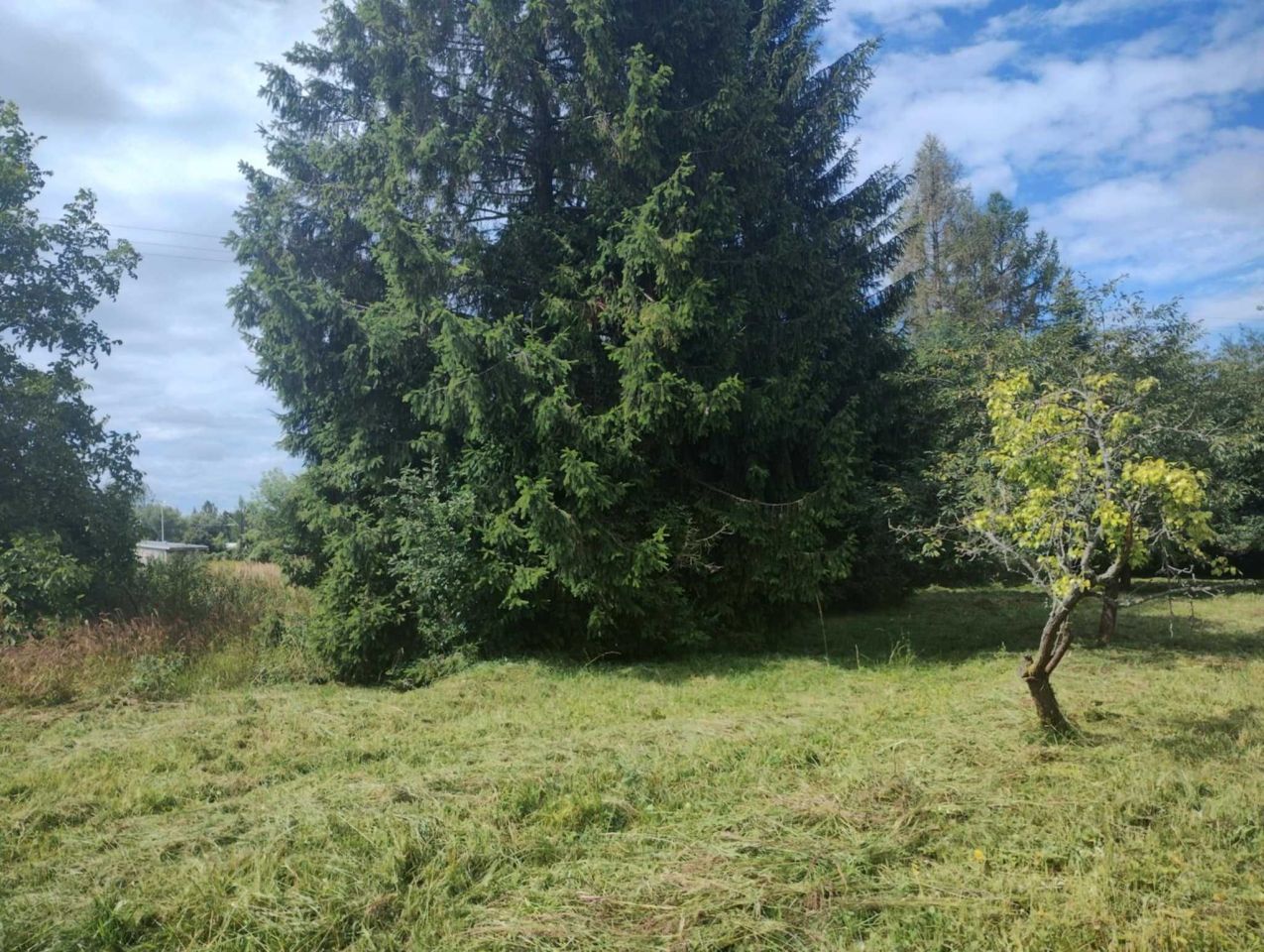 Działka budowlana Przeworsk. Zdjęcie 5