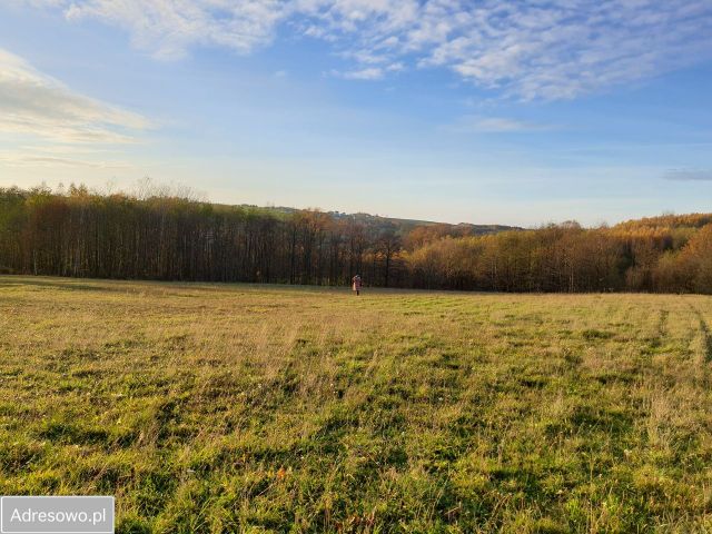 Działka budowlana Wiśniowa. Zdjęcie 1