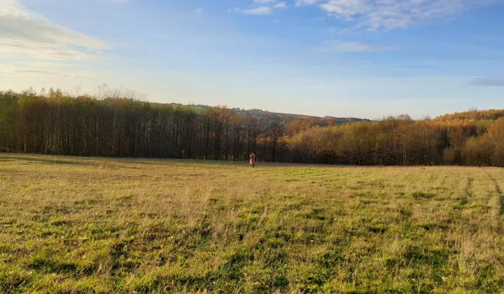 Działka budowlana Wiśniowa