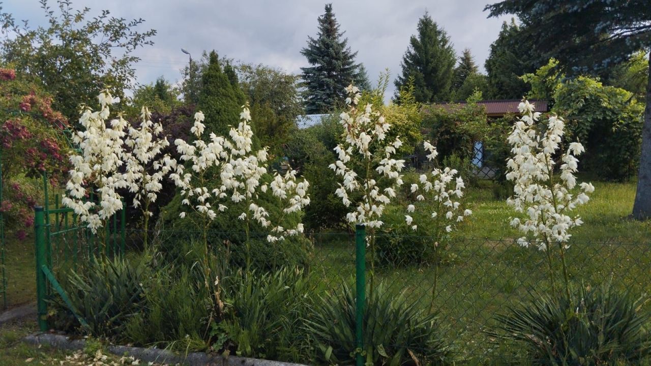 Działka rod Skawina. Zdjęcie 6