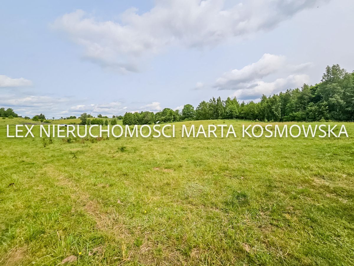 Działka rolna Wejdyki. Zdjęcie 3
