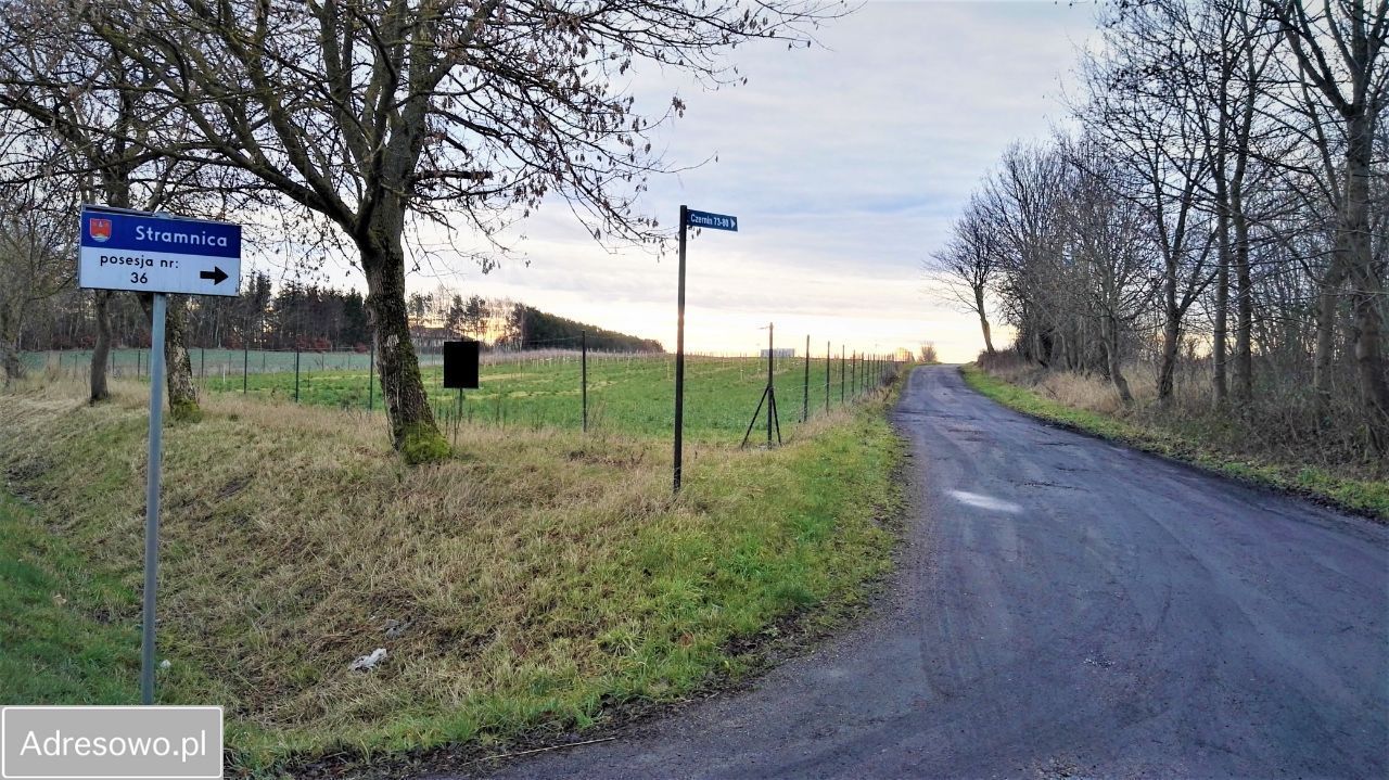 Działka siedliskowa Czernin. Zdjęcie 13