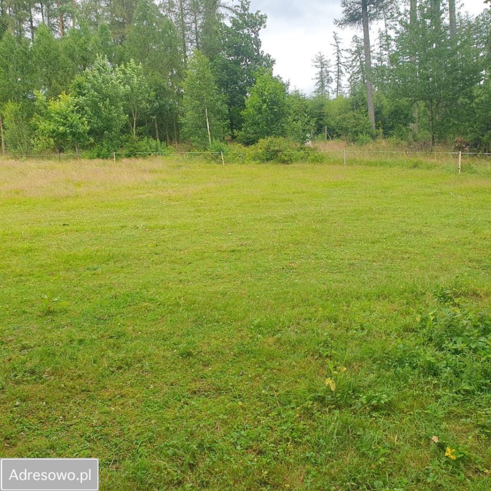 Działka inwestycyjna Kudowa-Zdrój, ul. Słoneczna. Zdjęcie 10