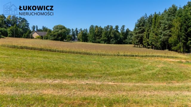 Działka budowlana Dankowice. Zdjęcie 3