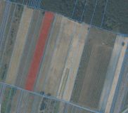 Działka rolna Kostrzyn. Zdjęcie 2