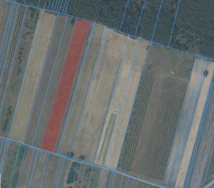 Działka rolna Kostrzyn. Zdjęcie 3