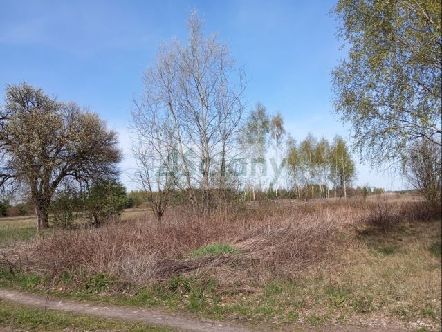 Działka budowlana Jasienica. Zdjęcie 7