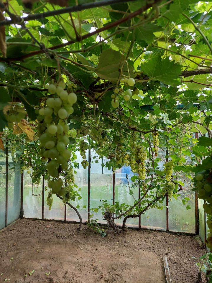 Działka rod Niekłonice. Zdjęcie 6