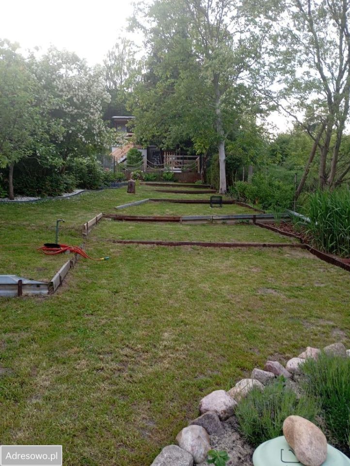 Działka rod Gdańsk Ujeścisko, ul. Stolema. Zdjęcie 5