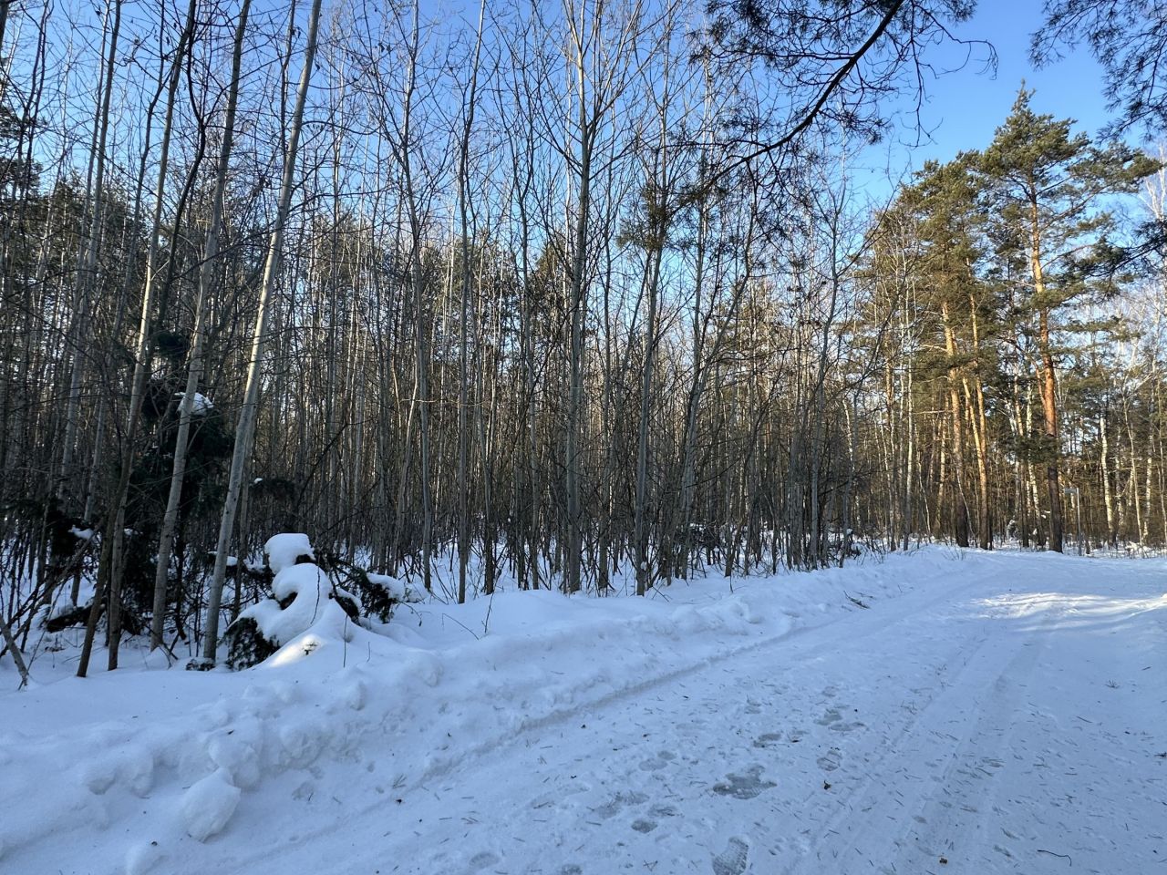 Działka budowlana Nowe Grobice, ul. Graniczna. Zdjęcie 8