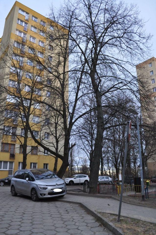 Mieszkanie 1-pokojowe Szczecin Śródmieście, ul. Stanisława Herakliusza Lubomirskiego. Zdjęcie 11