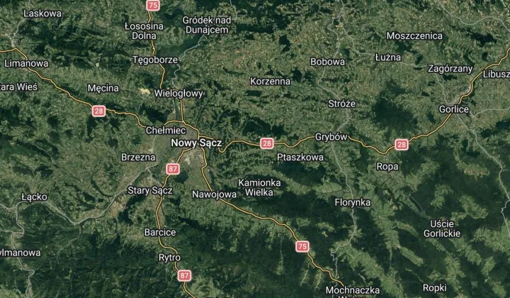 dom wolnostojący Mszalnica