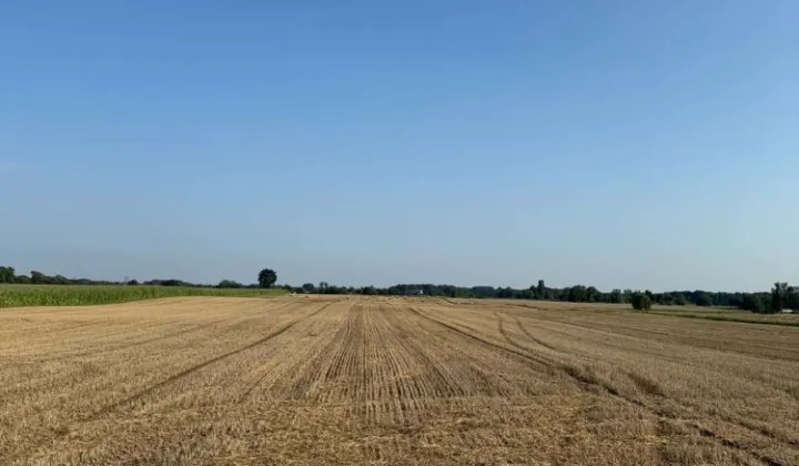 Działka rolna Skorzęcin