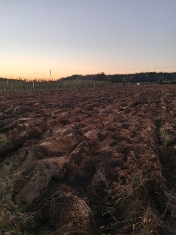 Działka rolna Jastrzębia Stara. Zdjęcie 1