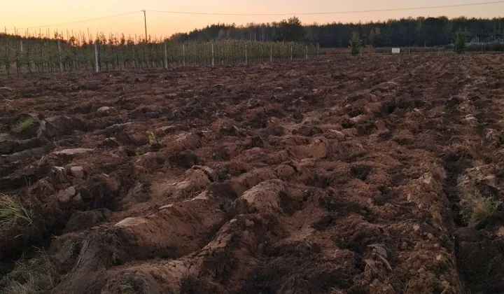 Działka rolna Jastrzębia Stara
