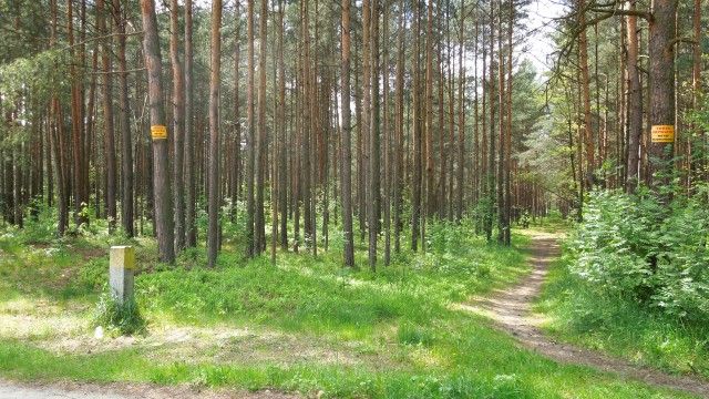 Działka budowlana Żarki-Letnisko, ul. Kąpielowa