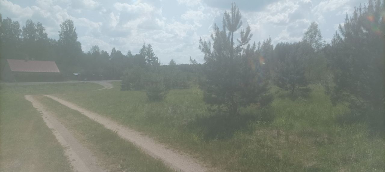 Działka rolna Ruś. Zdjęcie 7