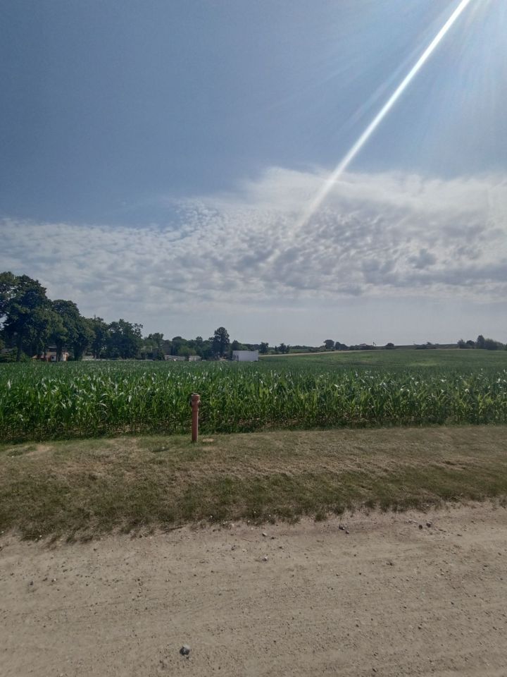 Działka budowlana Ławki. Zdjęcie 7