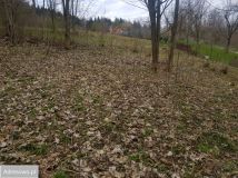 Działka rekreacyjna Rychwałd, ul. Spacerowa. Zdjęcie 3