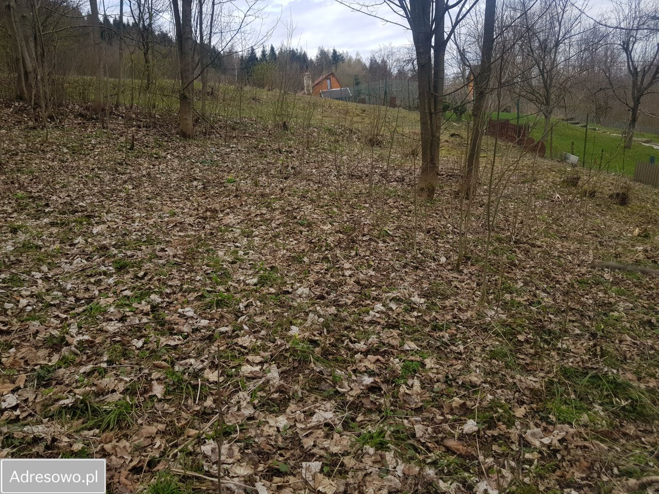 Działka rekreacyjna Rychwałd, ul. Spacerowa. Zdjęcie 4